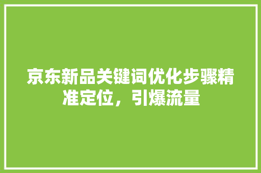 京东新品关键词优化步骤精准定位，引爆流量 搜狗SEO