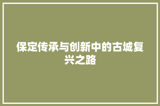 保定传承与创新中的古城复兴之路 百度SEO