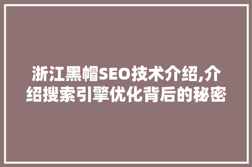 浙江黑帽SEO技术介绍,介绍搜索引擎优化背后的秘密 GoogleSEO