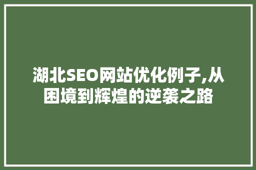 湖北SEO网站优化例子,从困境到辉煌的逆袭之路 必应SEO