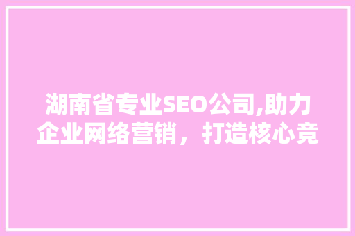 湖南省专业SEO公司,助力企业网络营销，打造核心竞争力 GoogleSEO
