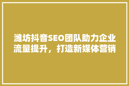 潍坊抖音SEO团队助力企业流量提升，打造新媒体营销新格局 必应SEO