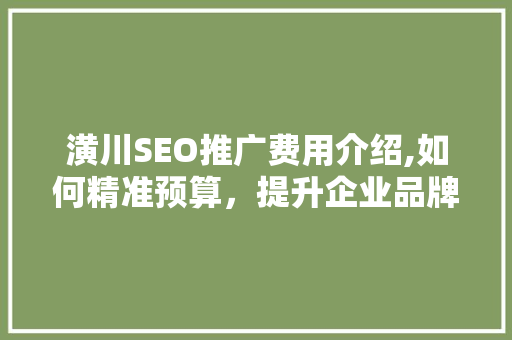 潢川SEO推广费用介绍,如何精准预算，提升企业品牌影响力 神马SEO