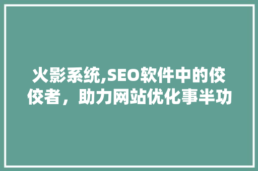 火影系统,SEO软件中的佼佼者，助力网站优化事半功倍 搜狗SEO