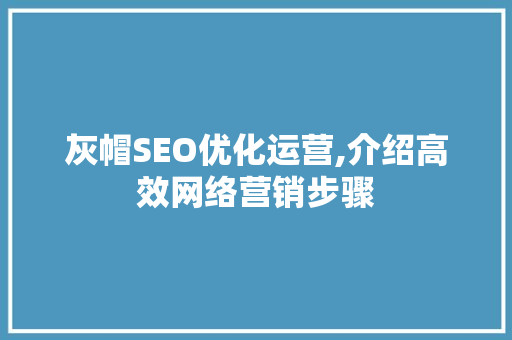 灰帽SEO优化运营,介绍高效网络营销步骤