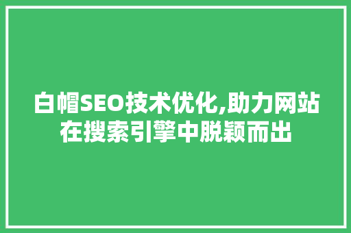 白帽SEO技术优化,助力网站在搜索引擎中脱颖而出 必应SEO
