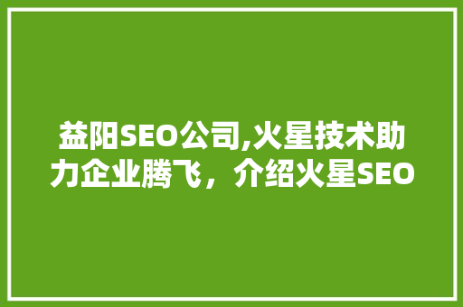 益阳SEO公司,火星技术助力企业腾飞，介绍火星SEO的奥秘 必应SEO