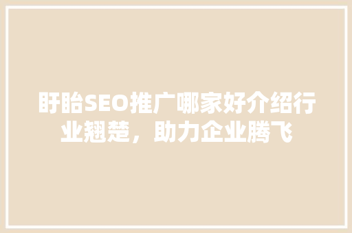 盱眙SEO推广哪家好介绍行业翘楚，助力企业腾飞 GoogleSEO