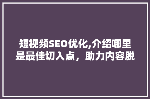 短视频SEO优化,介绍哪里是最佳切入点，助力内容脱颖而出