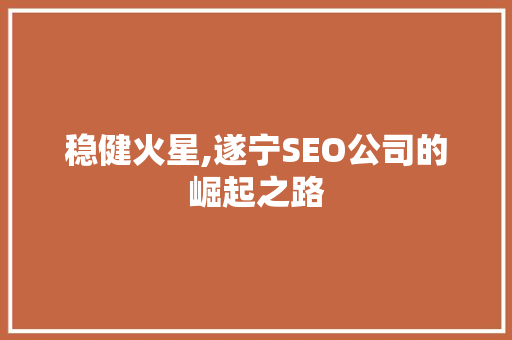 稳健火星,遂宁SEO公司的崛起之路