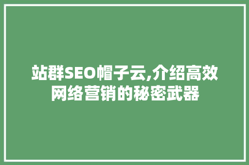 站群SEO帽子云,介绍高效网络营销的秘密武器 百度SEO