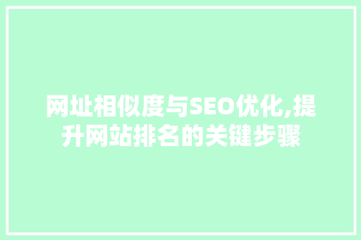 网址相似度与SEO优化,提升网站排名的关键步骤 必应SEO