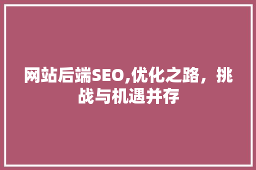 网站后端SEO,优化之路，挑战与机遇并存 神马SEO