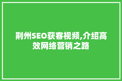 荆州SEO获客视频,介绍高效网络营销之路 GoogleSEO