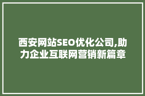 西安网站SEO优化公司,助力企业互联网营销新篇章