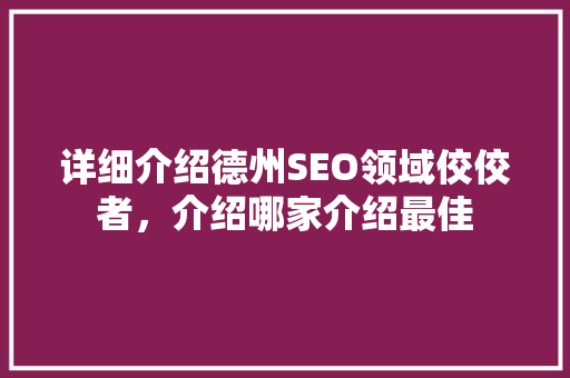 详细介绍德州SEO领域佼佼者，介绍哪家介绍最佳 GoogleSEO