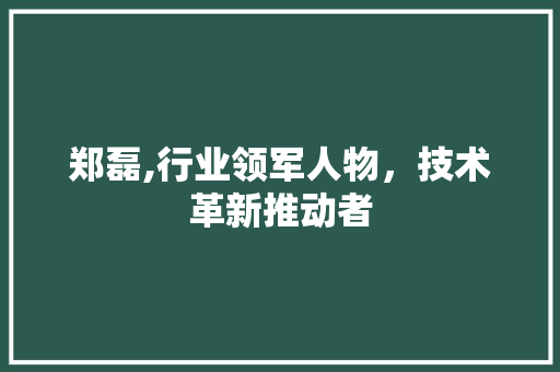 郑磊,行业领军人物，技术革新推动者