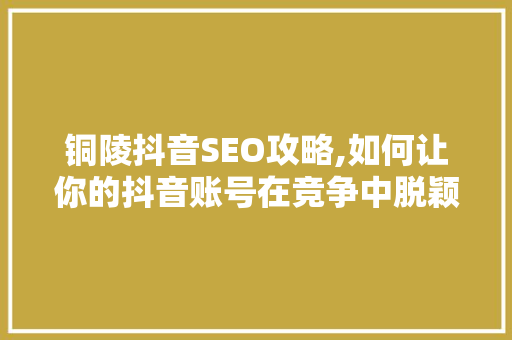 铜陵抖音SEO攻略,如何让你的抖音账号在竞争中脱颖而出 必应SEO