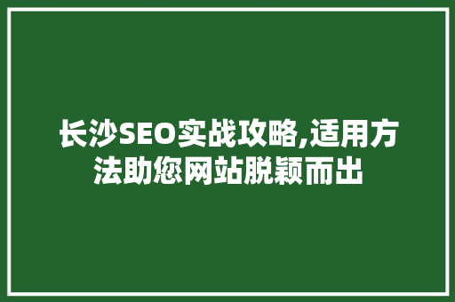 长沙SEO实战攻略,适用方法助您网站脱颖而出 GoogleSEO
