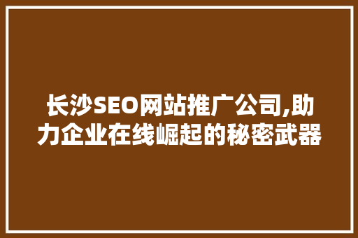 长沙SEO网站推广公司,助力企业在线崛起的秘密武器 神马SEO