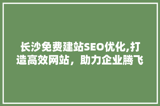 长沙免费建站SEO优化,打造高效网站，助力企业腾飞 必应SEO