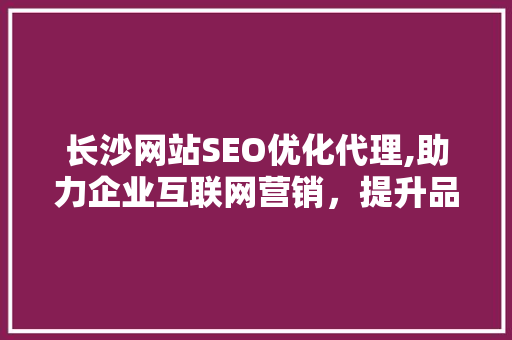 长沙网站SEO优化代理,助力企业互联网营销，提升品牌竞争力 GoogleSEO