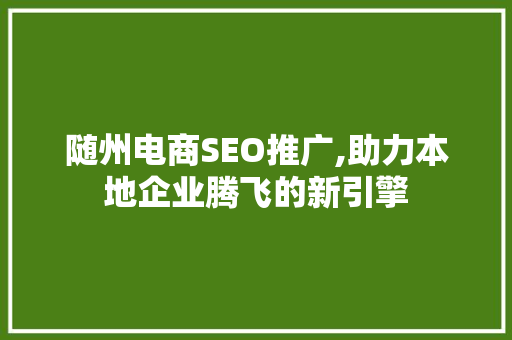 随州电商SEO推广,助力本地企业腾飞的新引擎 百度SEO