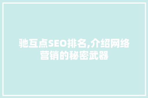 驰互点SEO排名,介绍网络营销的秘密武器