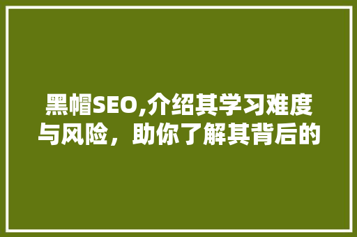 黑帽SEO,介绍其学习难度与风险，助你了解其背后的真相 必应SEO