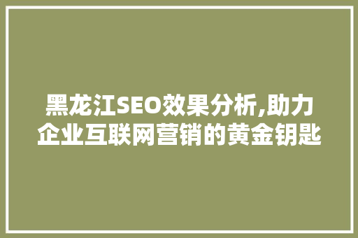 黑龙江SEO效果分析,助力企业互联网营销的黄金钥匙
