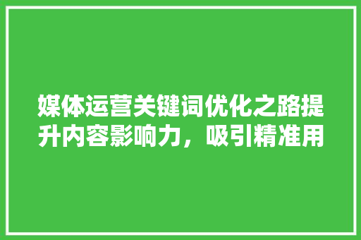 媒体运营关键词优化之路提升内容影响力，吸引精准用户 搜狗SEO