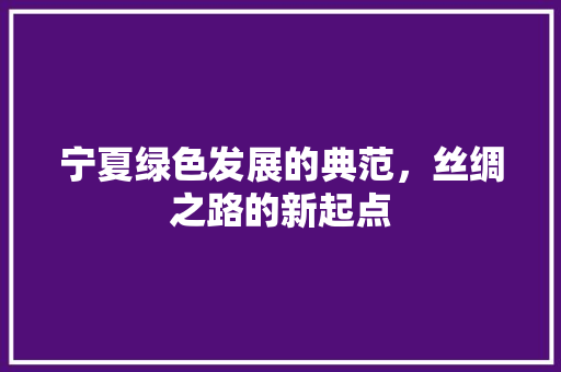 宁夏绿色发展的典范，丝绸之路的新起点