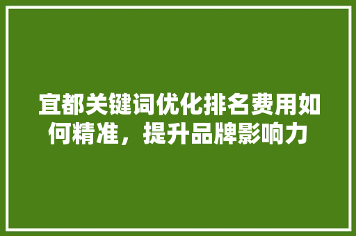 宜都关键词优化排名费用如何精准，提升品牌影响力 必应SEO