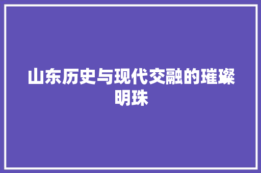 山东历史与现代交融的璀璨明珠 百度SEO