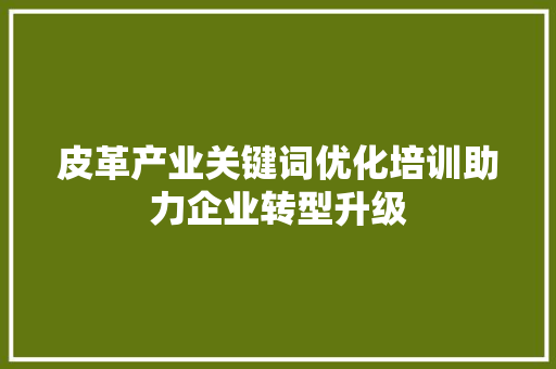 皮革产业关键词优化培训助力企业转型升级 百度SEO
