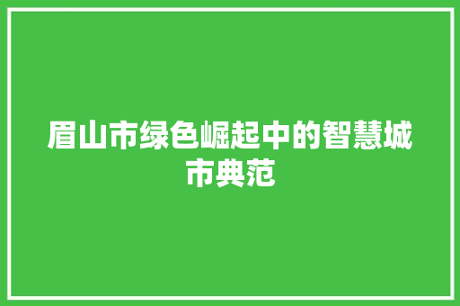 眉山市绿色崛起中的智慧城市典范 必应SEO