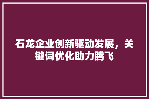 石龙企业创新驱动发展，关键词优化助力腾飞 百度SEO