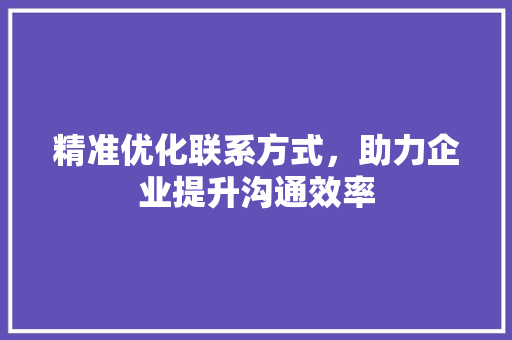 精准优化联系方式，助力企业提升沟通效率 必应SEO