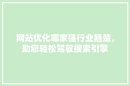 网站优化哪家强行业翘楚，助您轻松驾驭搜索引擎 GoogleSEO