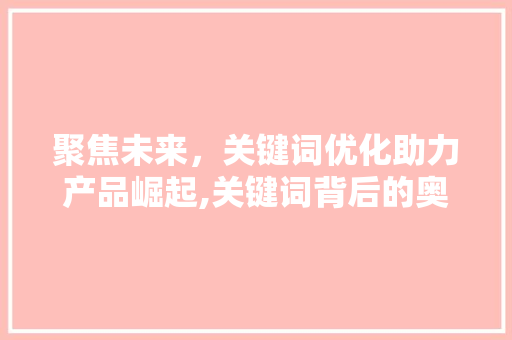 聚焦未来，关键词优化助力产品崛起,关键词背后的奥秘