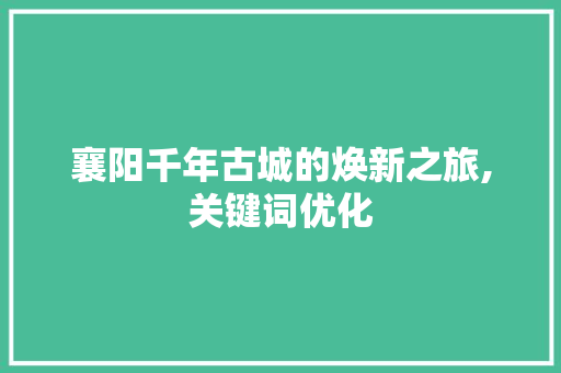 襄阳千年古城的焕新之旅,关键词优化 神马SEO