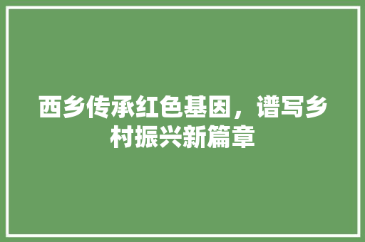 西乡传承红色基因，谱写乡村振兴新篇章 百度SEO