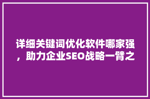 详细关键词优化软件哪家强，助力企业SEO战略一臂之力 必应SEO