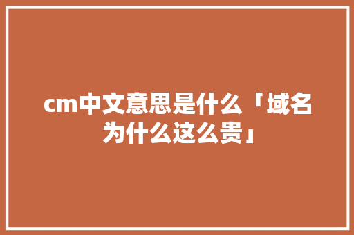 cm中文意思是什么「域名为什么这么贵」
