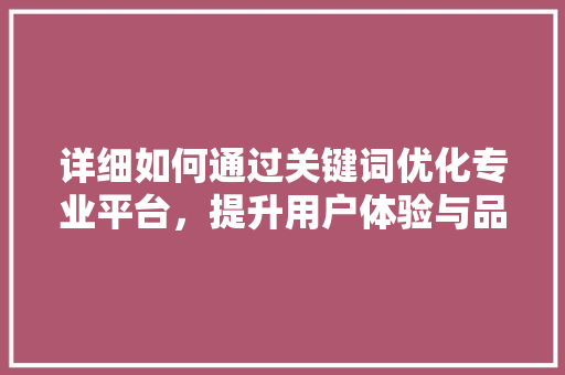 详细如何通过关键词优化专业平台，提升用户体验与品牌价值 百度SEO
