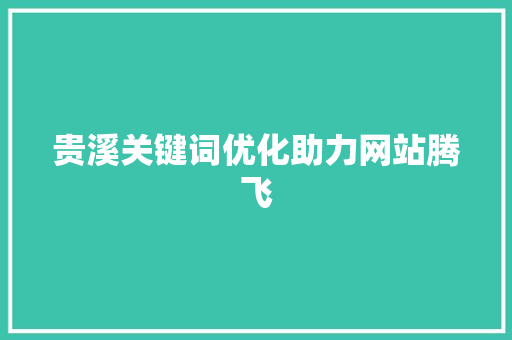 贵溪关键词优化助力网站腾飞 百度SEO