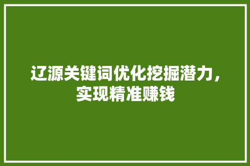 辽源关键词优化挖掘潜力，实现精准赚钱