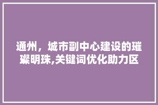 通州，城市副中心建设的璀璨明珠,关键词优化助力区域发展 神马SEO