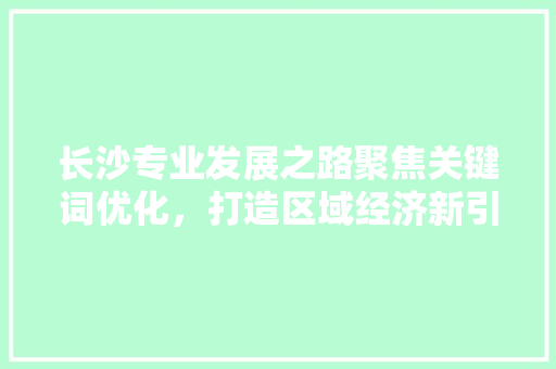 长沙专业发展之路聚焦关键词优化，打造区域经济新引擎 百度SEO