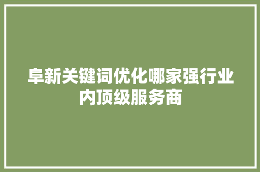 阜新关键词优化哪家强行业内顶级服务商 百度SEO